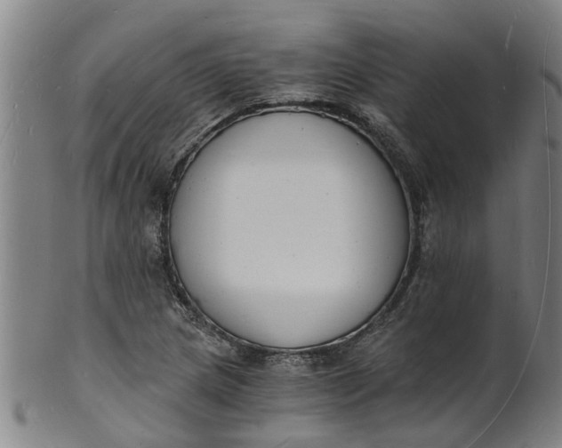 X0000101671217200807241432