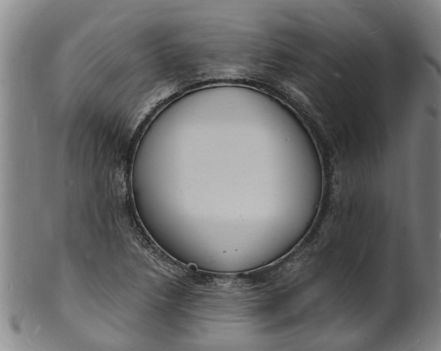 X0000101671218200807241432