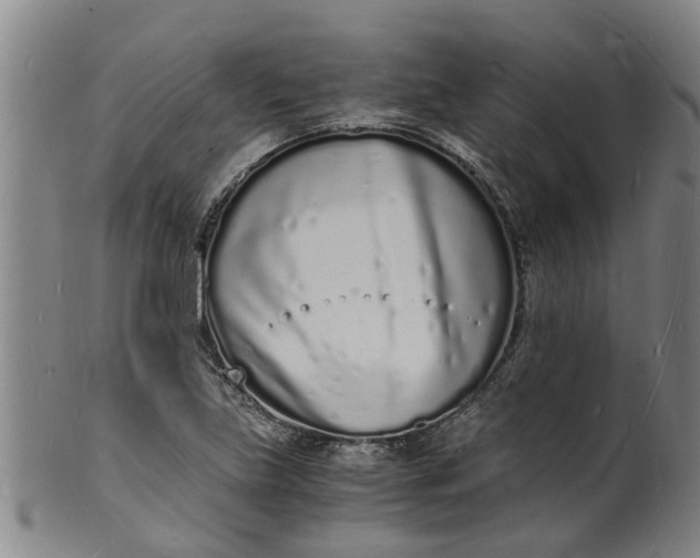 X0000101671219200807241432