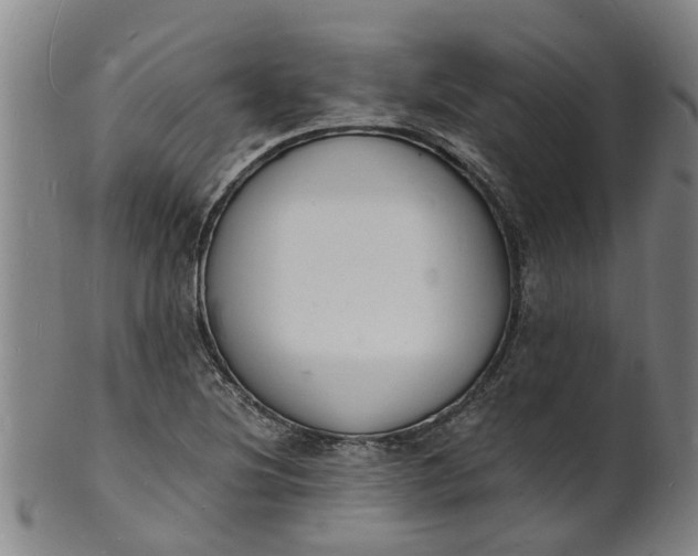 X0000101671220200807241432