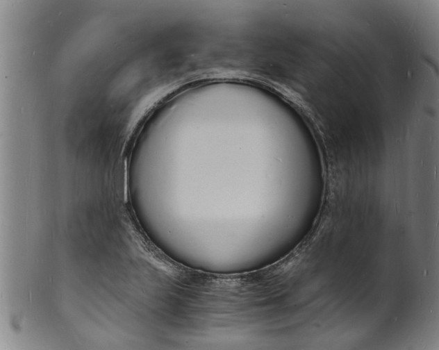 X0000101671223200807241433