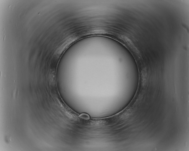 X0000101671225200807241433