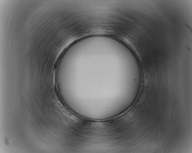 X0000101671227200807241433