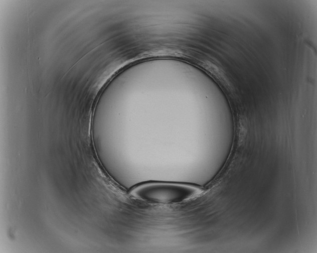 X0000101671228200807241433