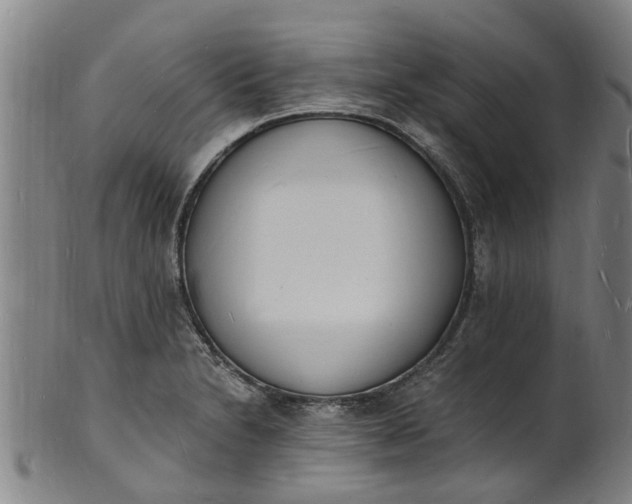 X0000101671230200807241433