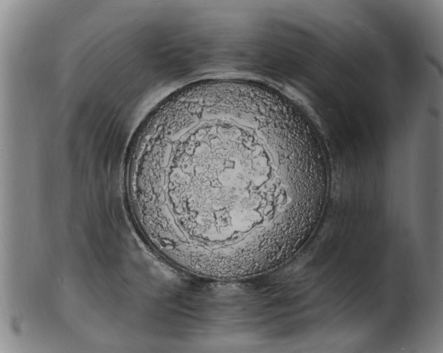 X0000101671231200807241433