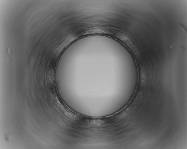 X0000101671233200807241433