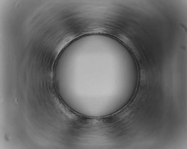 X0000101671234200807241433