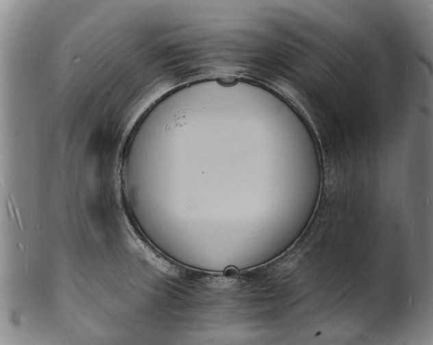 X0000101671235200807241433