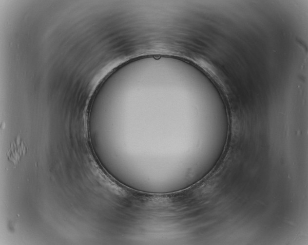 X0000101671238200807241433