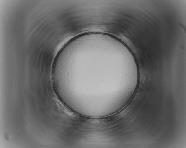 X0000101671240200807241433