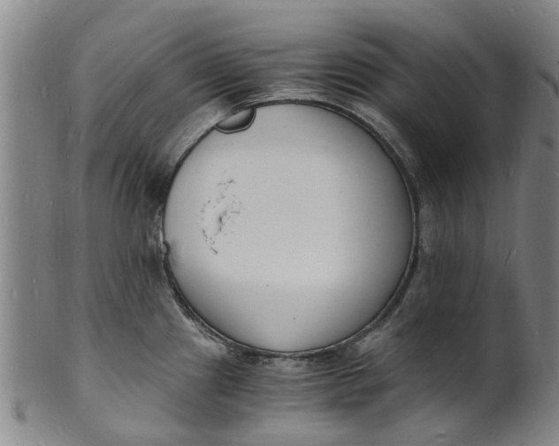 X0000101671241200807241433