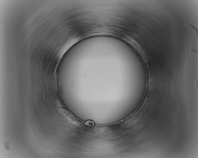 X0000101671242200807241433