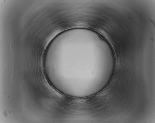X0000101671243200807241433