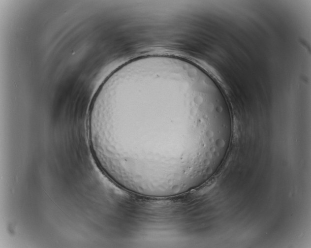 X0000101671247200807241433