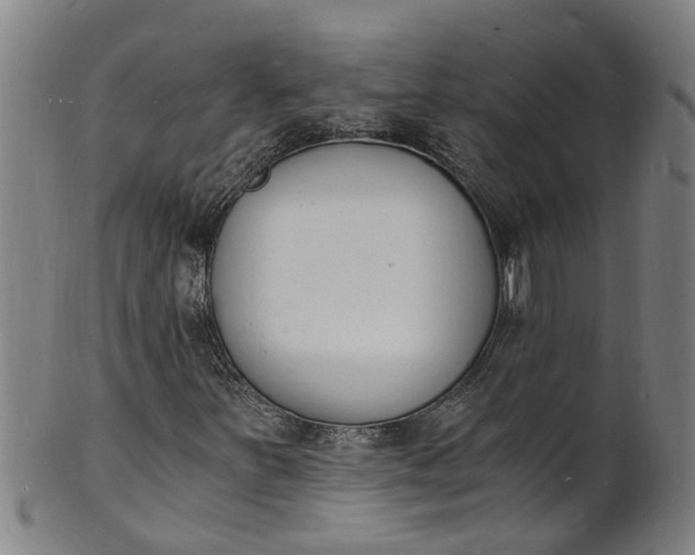 X0000101671251200807241432