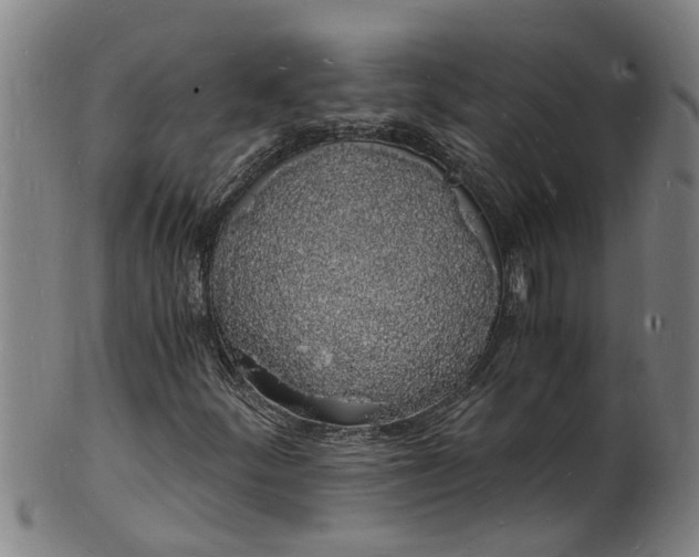 X0000101671252200807241432