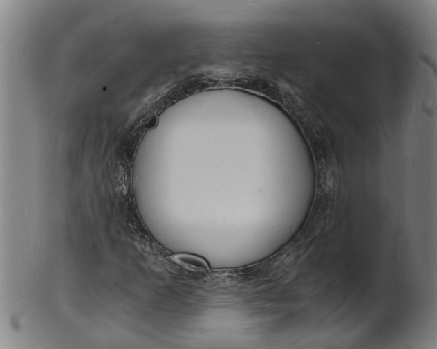 X0000101671253200807241432