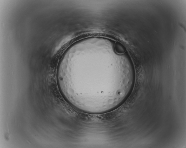 X0000101671255200807241432