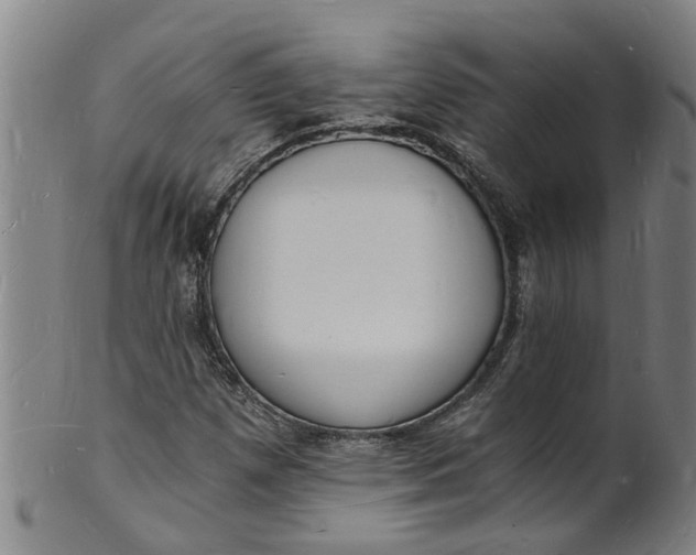 X0000101671257200807241432