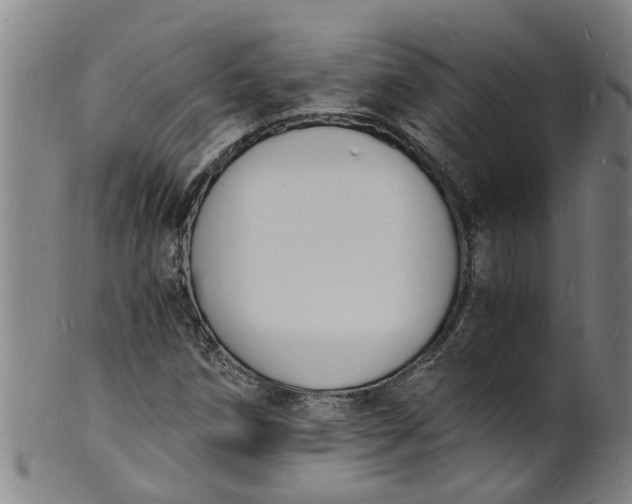 X0000101671258200807241432