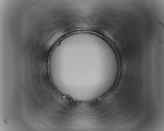 X0000101671259200807241432