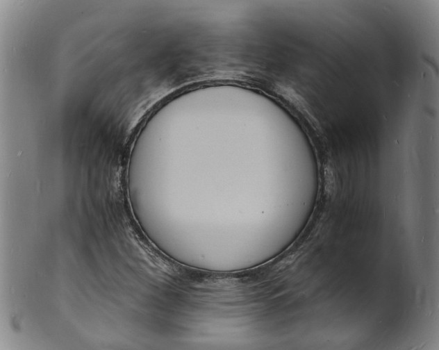 X0000101671260200807241432