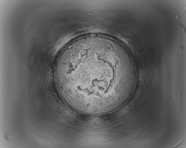 X0000101671263200807241432