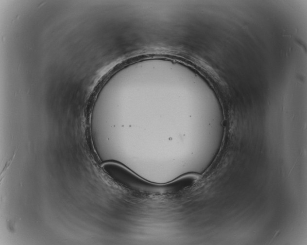 X0000101671264200807241432