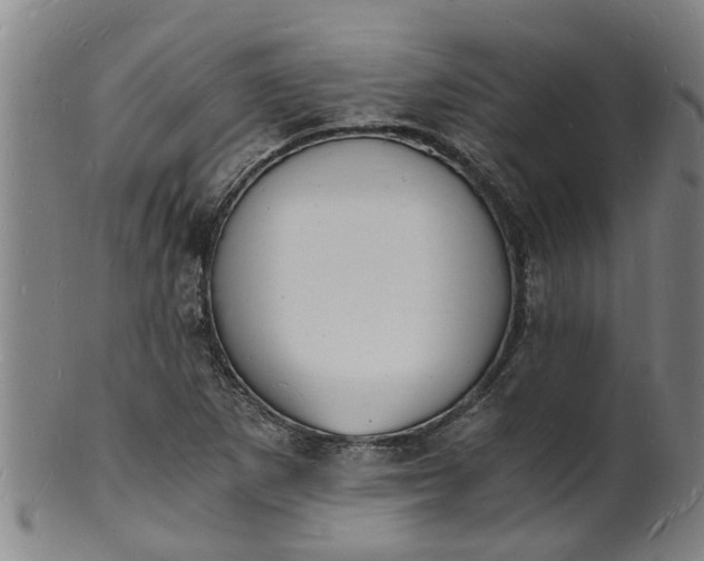 X0000101671265200807241432