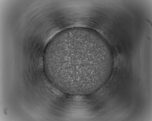 X0000101671266200807241432