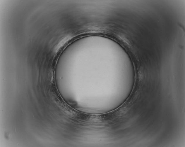 X0000101671267200807241432