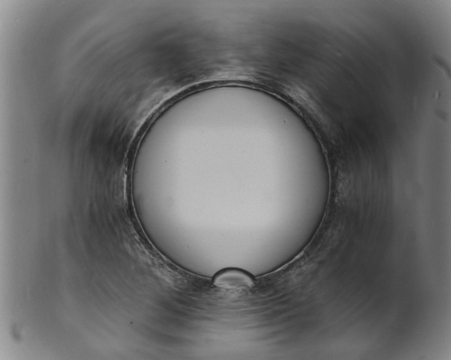 X0000101671268200807241432
