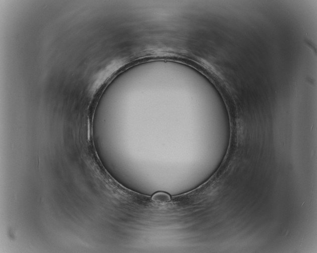 X0000101671269200807241432