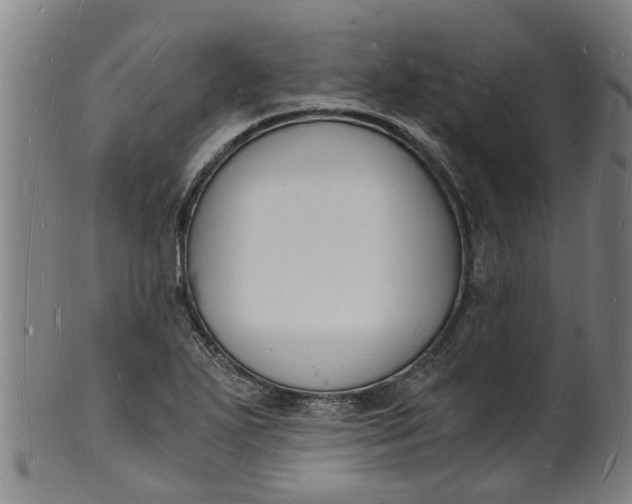 X0000101671271200807241432
