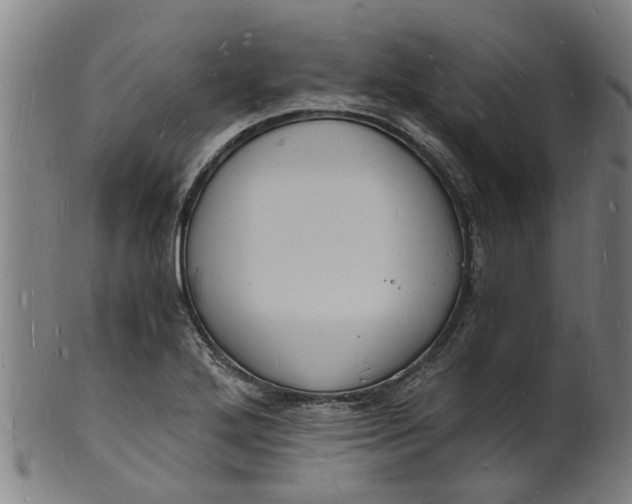 X0000101671272200807241432