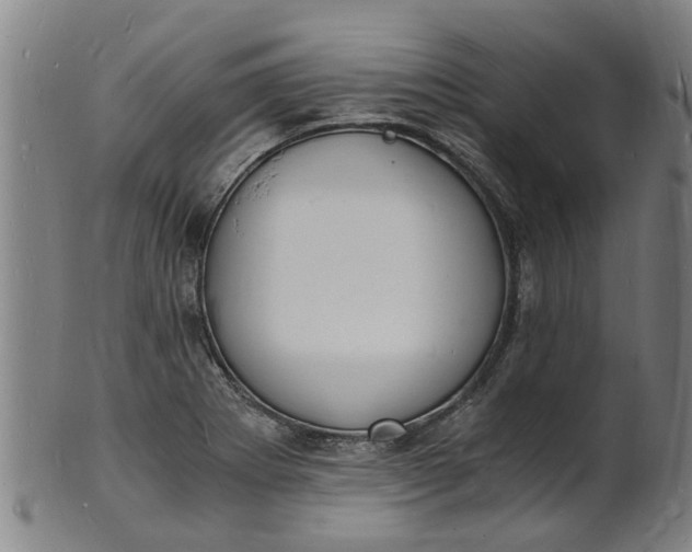 X0000101671273200807241432