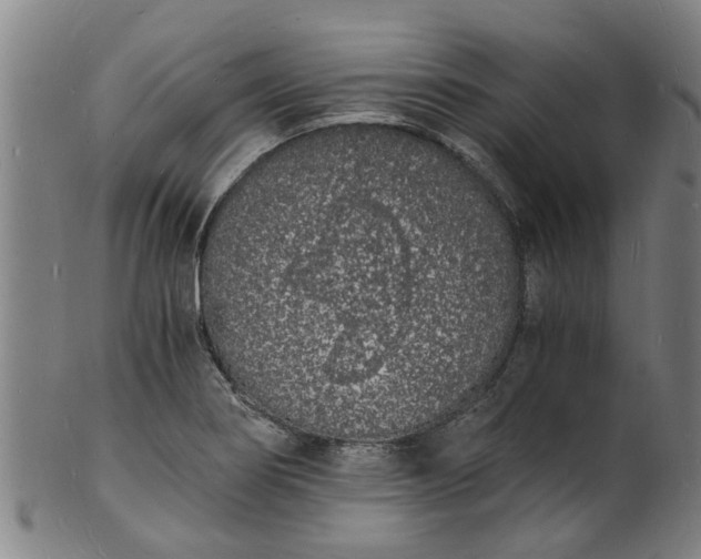 X0000101671274200807241432