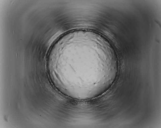 X0000101671275200807241432