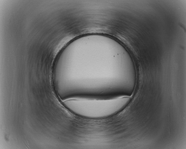 X0000101671277200807241432