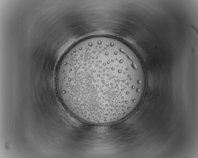 X0000101671278200807241432