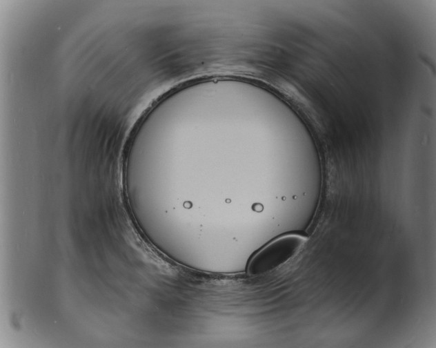 X0000101671280200807241432