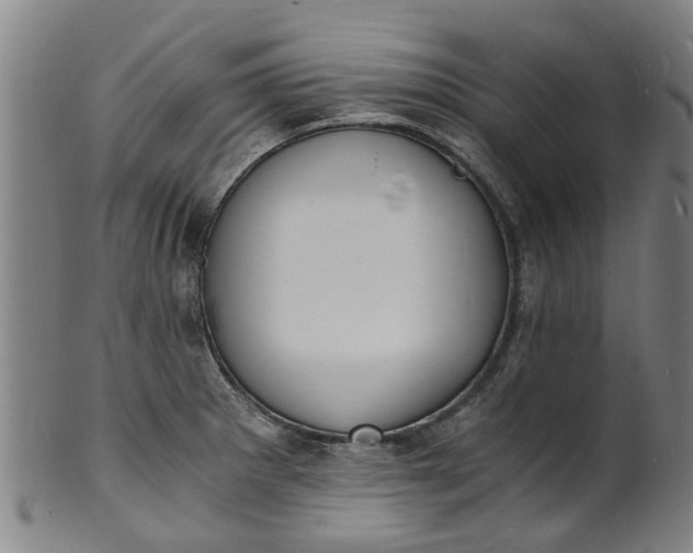 X0000101671281200807241432