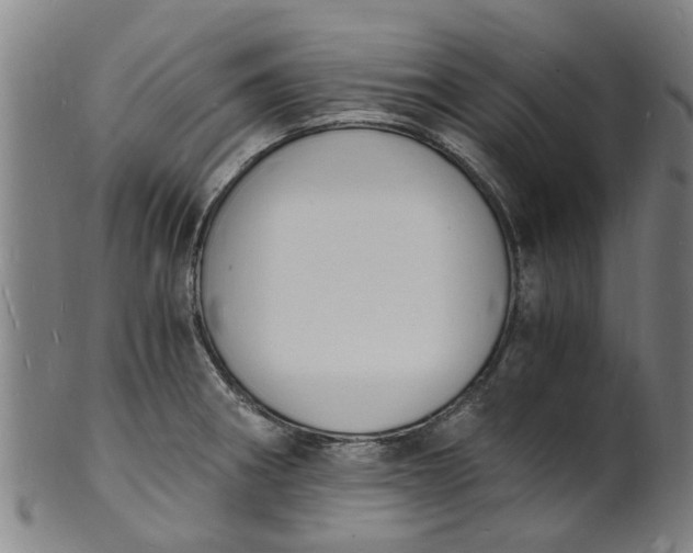 X0000101671282200807241432