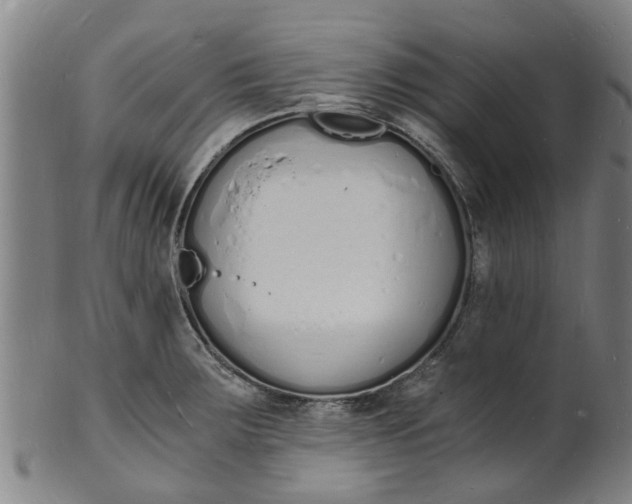 X0000101671283200807241432