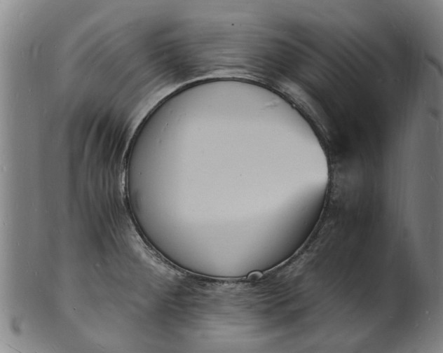 X0000101671284200807241432