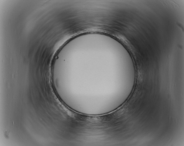X0000101671286200807241432