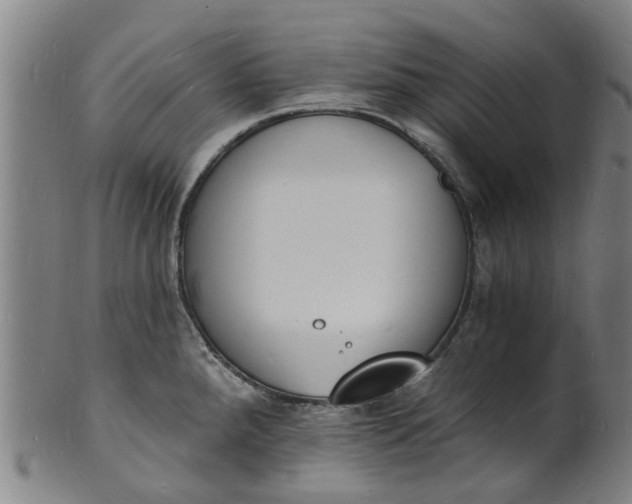 X0000101671288200807241432