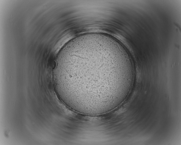 X0000101671289200807241432