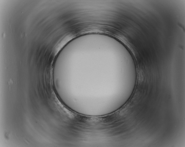 X0000101671290200807241432
